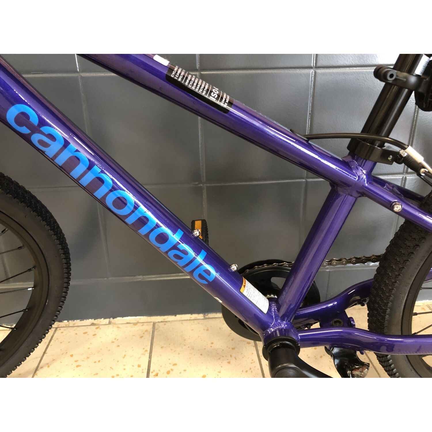 VTT Enfant Cannondale Trail Kids 16 Bleu - Absolubike, vélos et accessoires